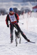 Lenk 2013